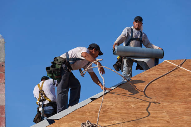 Best Roof Gutter Cleaning  in Flanders, NY